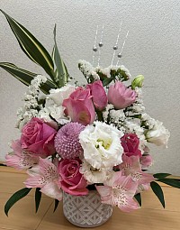 マヤフラワー